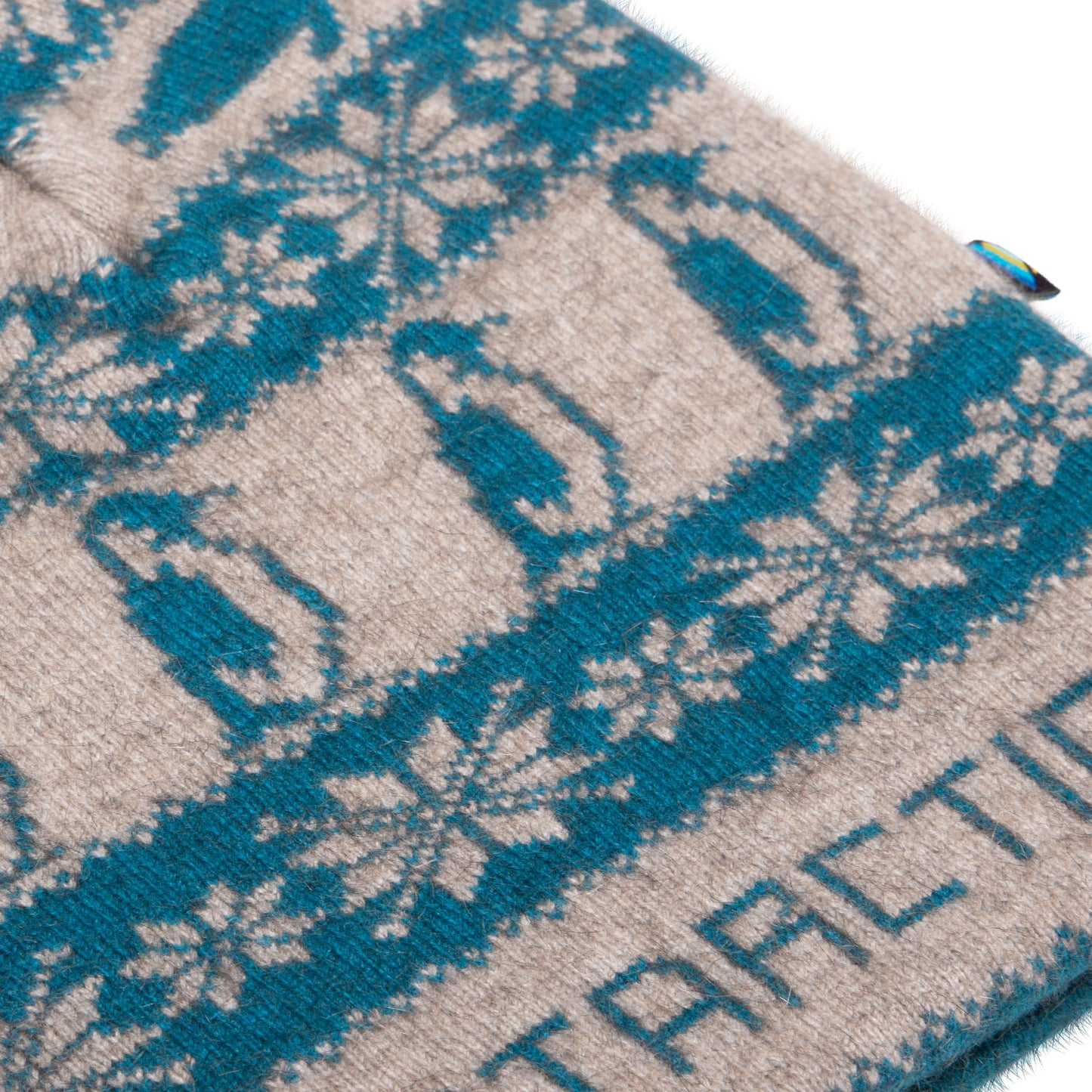 Antarctica Expedition Beanie (Turquoise)