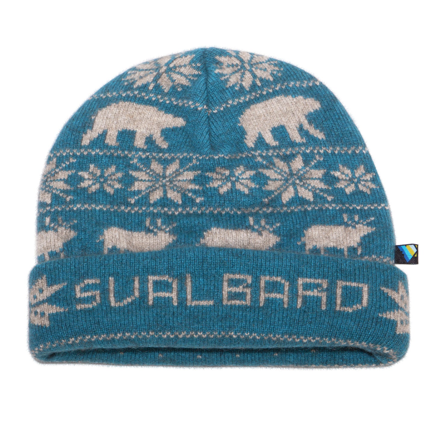 Svalbard Expedition Beanie (Turquoise)