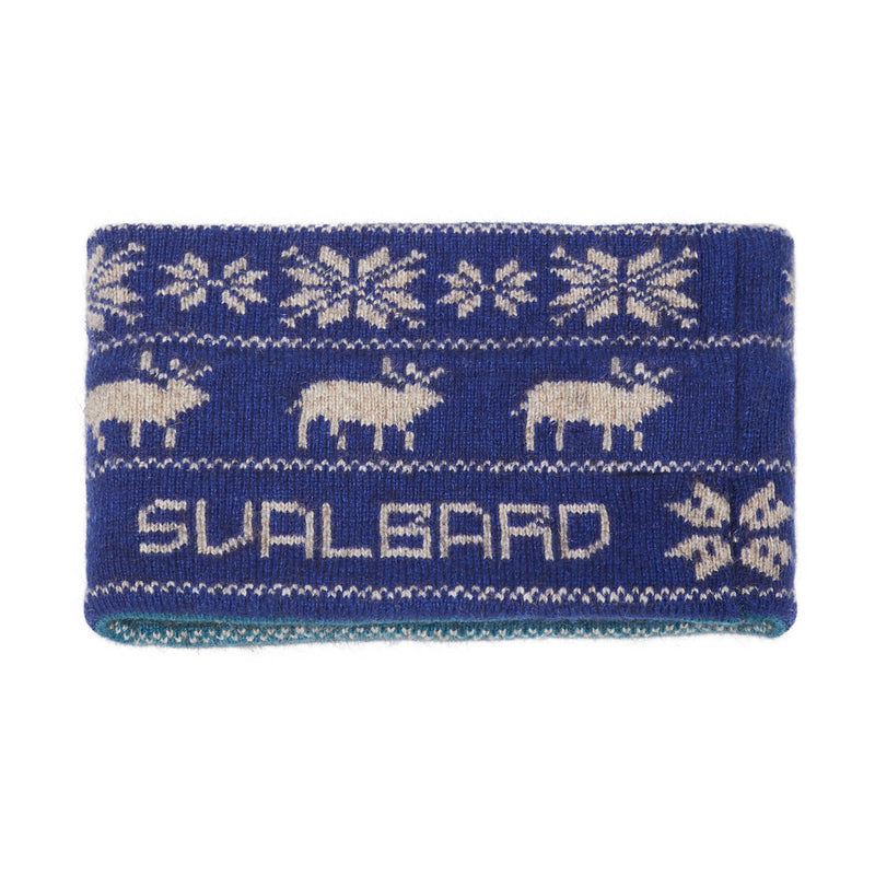 Svalbard Double Headband (Turquoise)